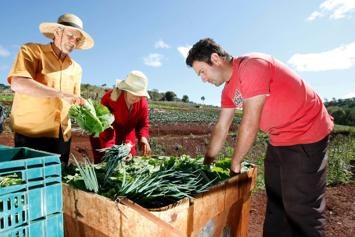 Agricultura Familiar No Brasil Seja Ilimitado 7691