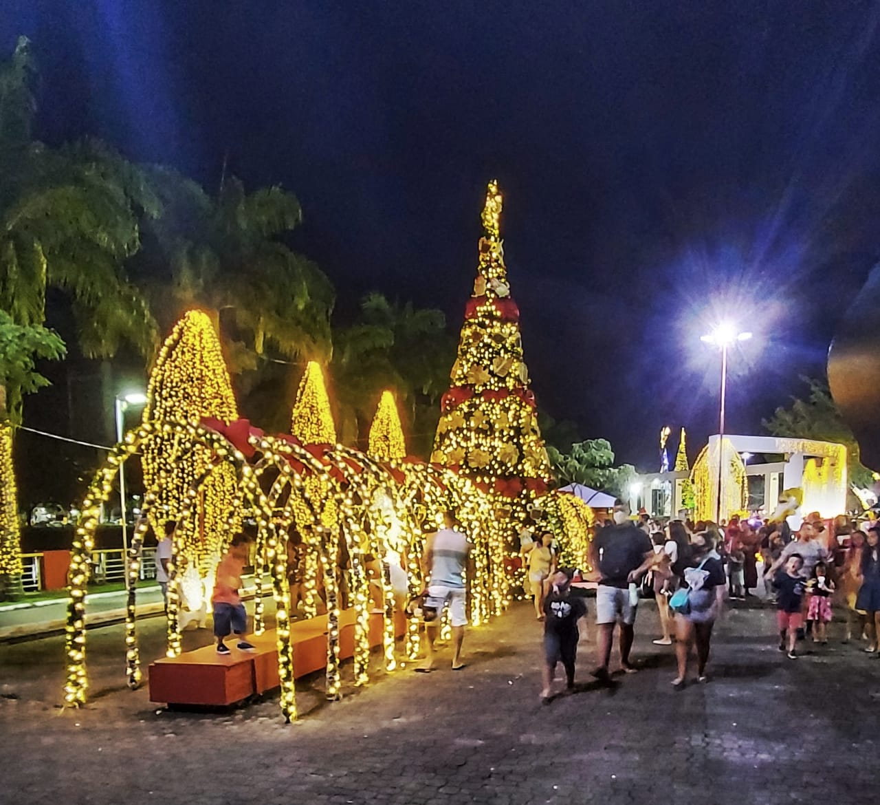 VEJA FOTOS: Natal de Luzes e Sonhos atrai visitantes e impulsiona as vendas  no comércio de Itabuna - Seja Ilimitado